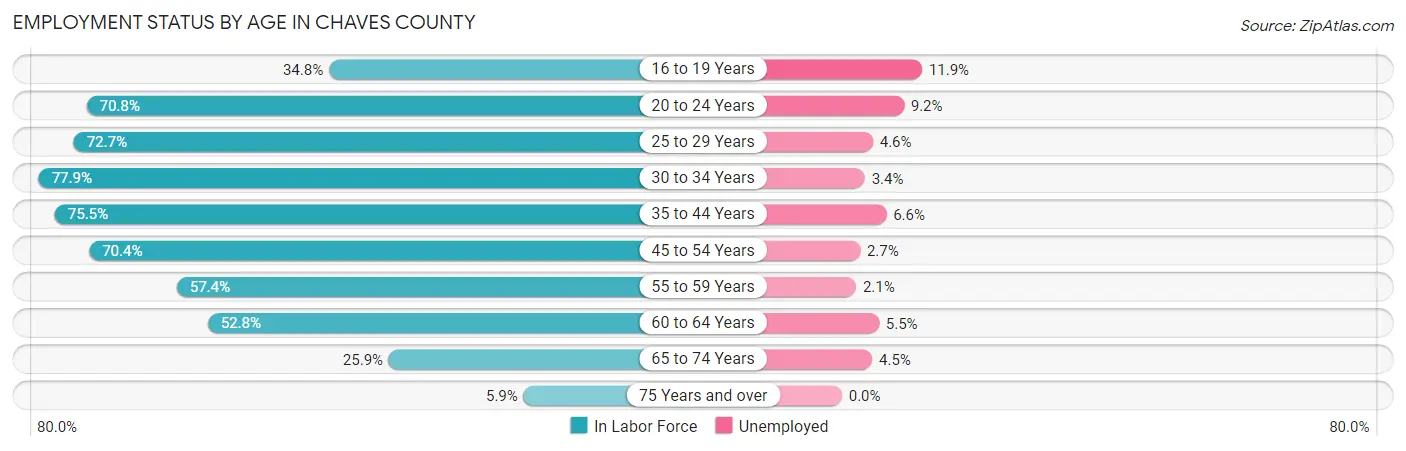 Employment Status by Age in Chaves County