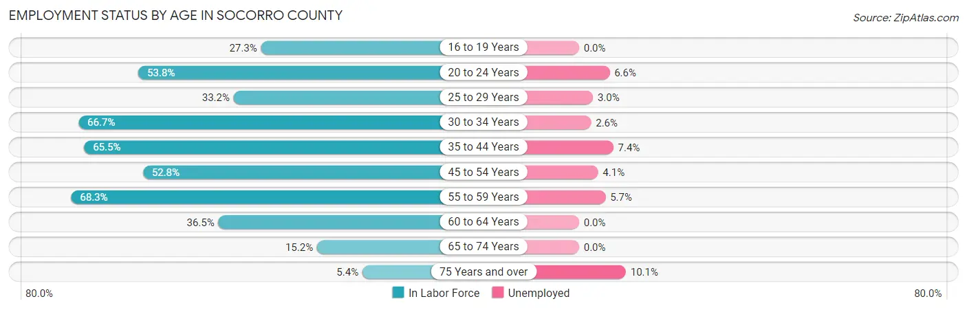 Employment Status by Age in Socorro County