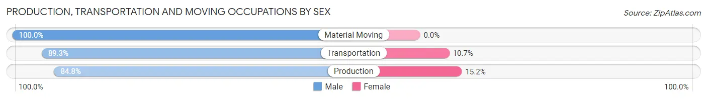 Production, Transportation and Moving Occupations by Sex in Socorro County