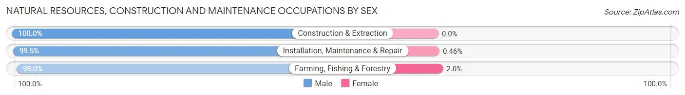 Natural Resources, Construction and Maintenance Occupations by Sex in Churchill County