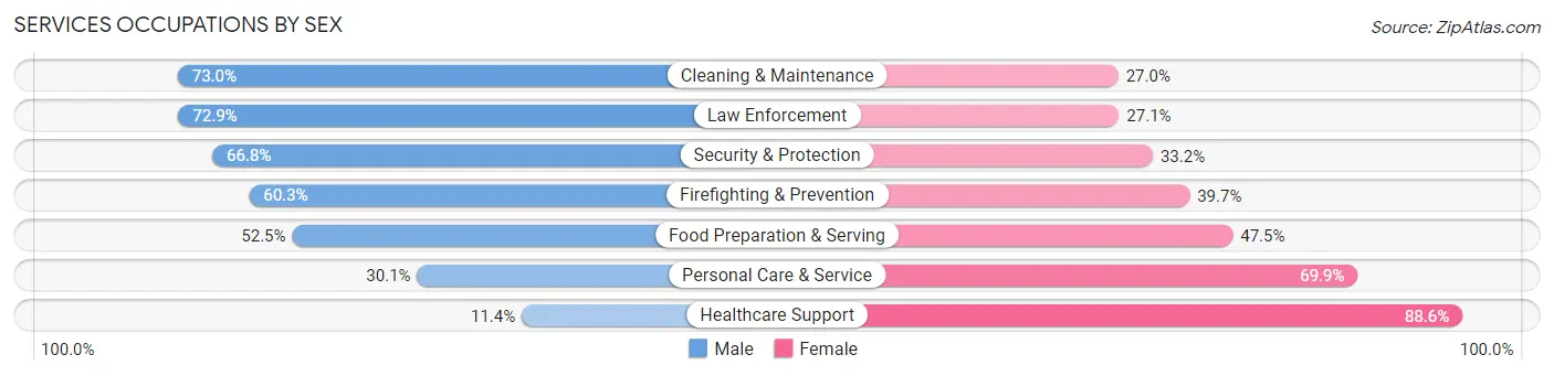 Services Occupations by Sex in Rensselaer County