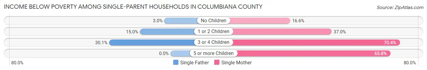 Income Below Poverty Among Single-Parent Households in Columbiana County