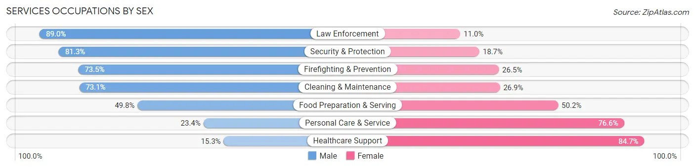 Services Occupations by Sex in Delaware County