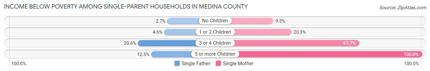 Income Below Poverty Among Single-Parent Households in Medina County