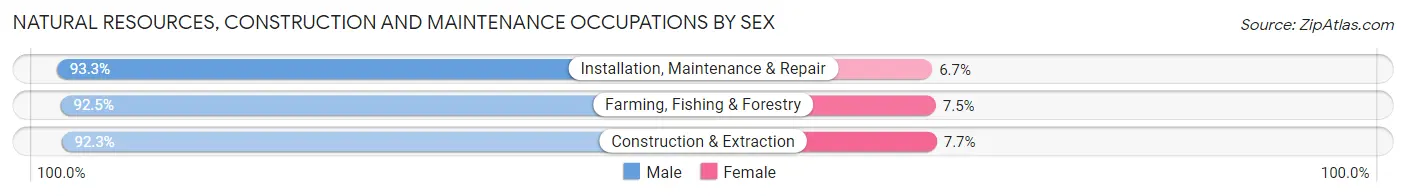 Natural Resources, Construction and Maintenance Occupations by Sex in Miami County