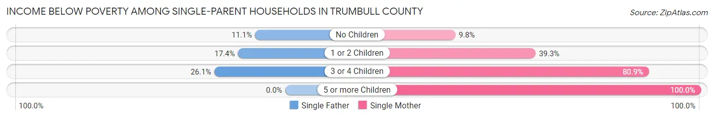 Income Below Poverty Among Single-Parent Households in Trumbull County