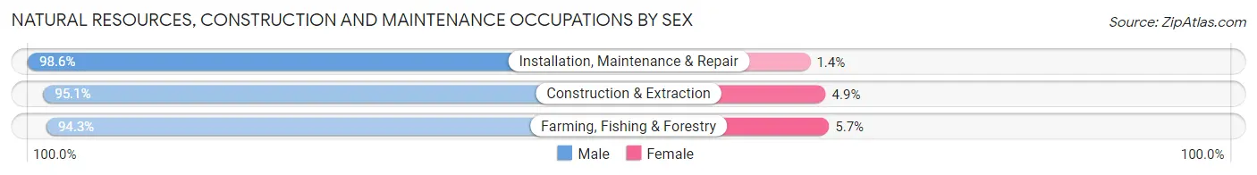 Natural Resources, Construction and Maintenance Occupations by Sex in Wood County