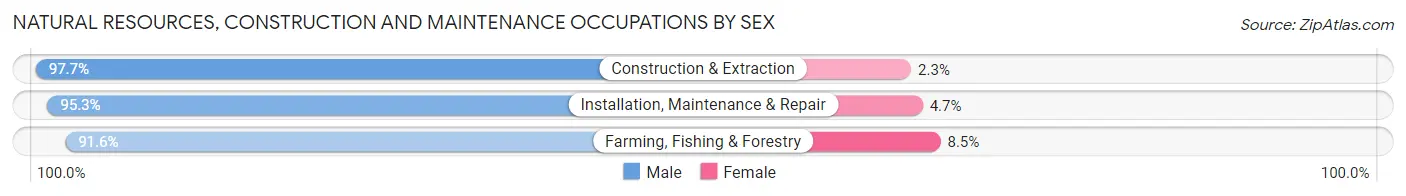Natural Resources, Construction and Maintenance Occupations by Sex in Canadian County