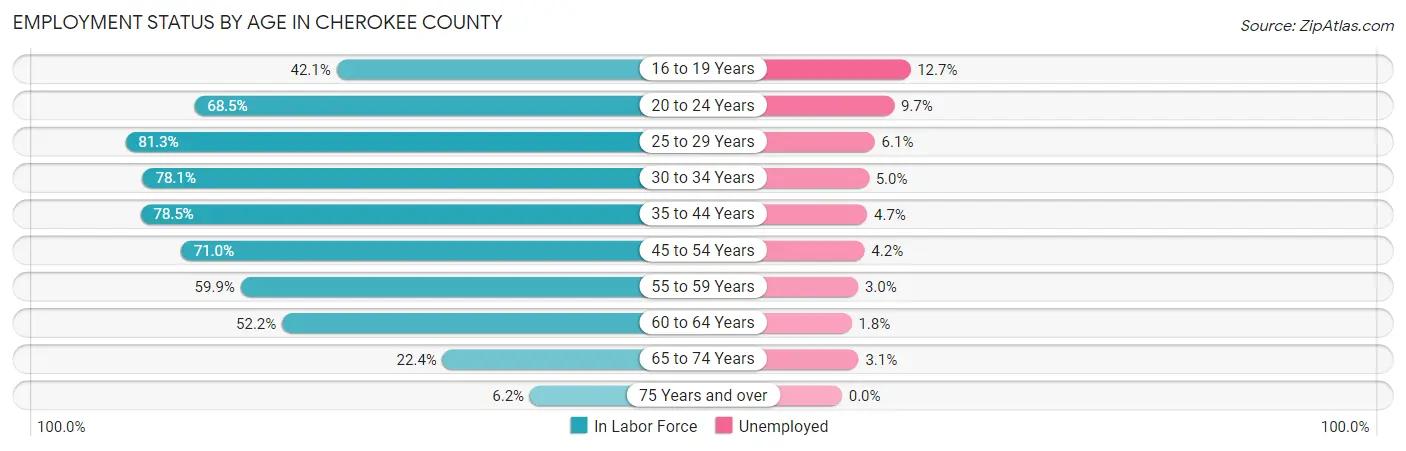 Employment Status by Age in Cherokee County