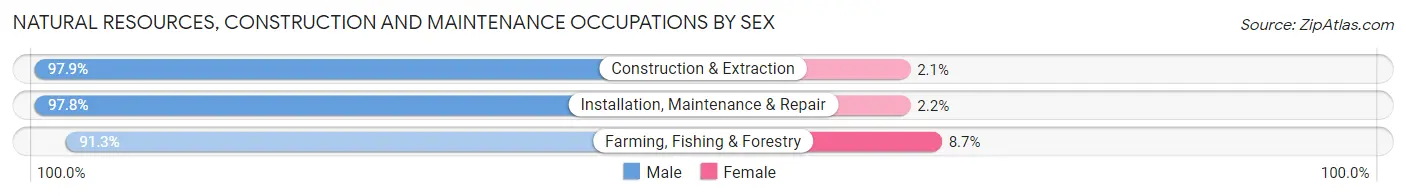 Natural Resources, Construction and Maintenance Occupations by Sex in Comanche County
