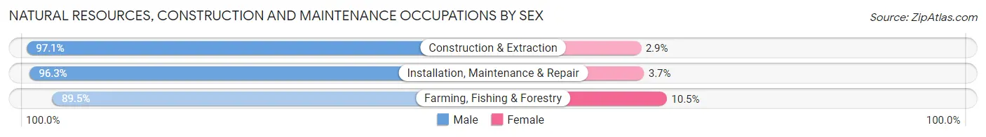 Natural Resources, Construction and Maintenance Occupations by Sex in Grady County