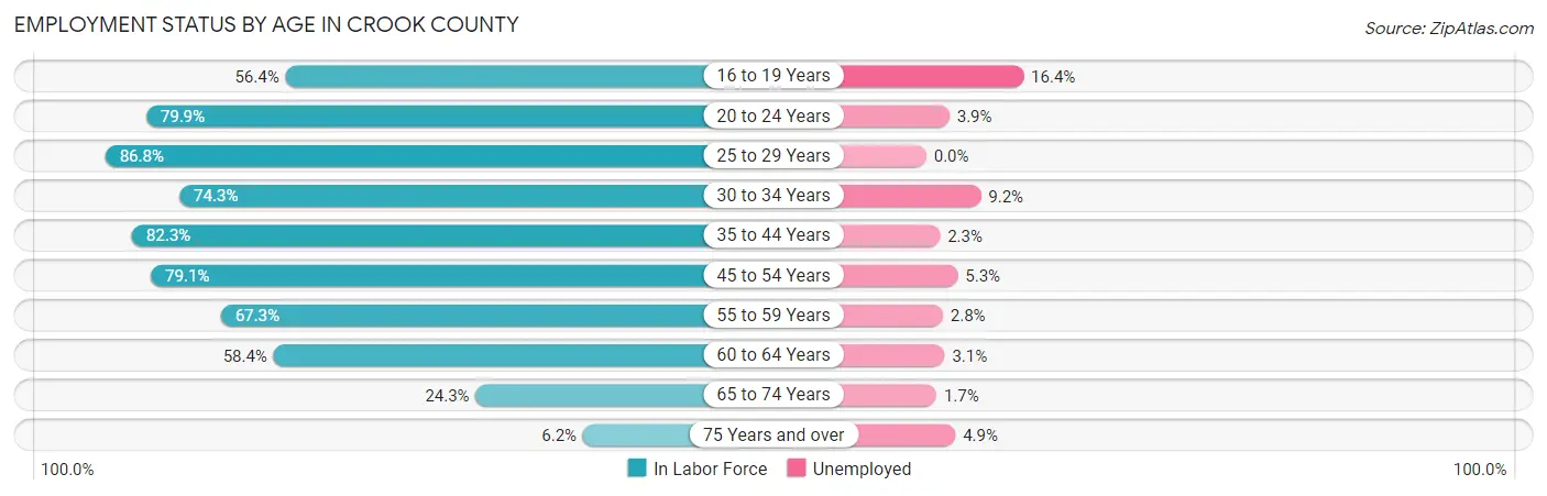 Employment Status by Age in Crook County