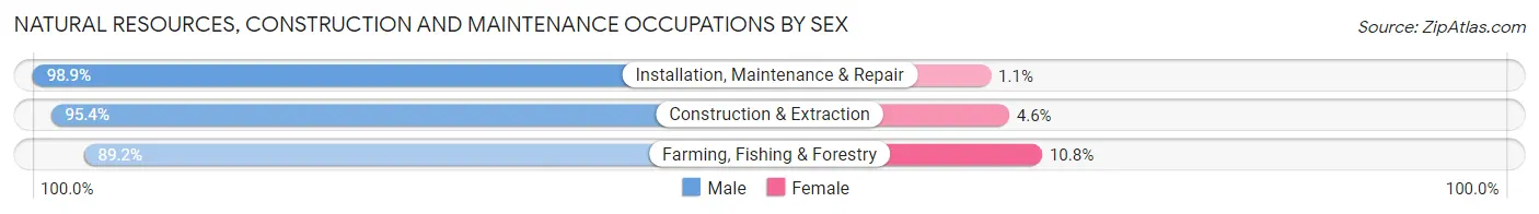 Natural Resources, Construction and Maintenance Occupations by Sex in Douglas County