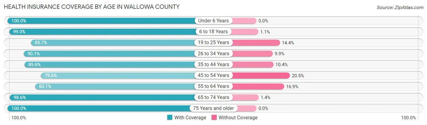 Health Insurance Coverage by Age in Wallowa County