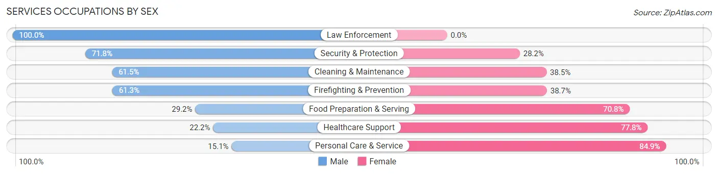 Services Occupations by Sex in Beadle County
