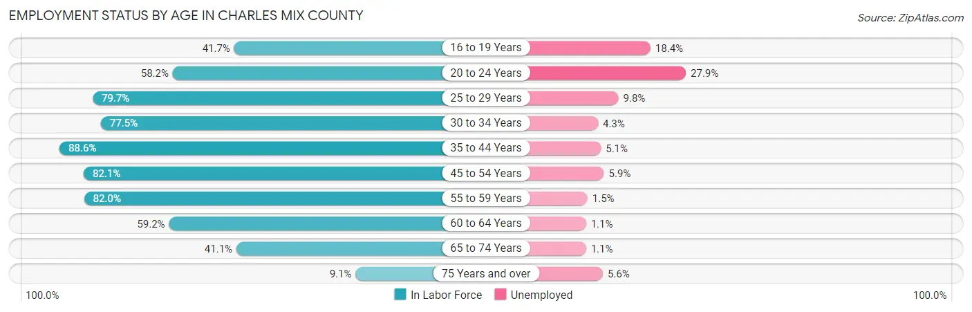 Employment Status by Age in Charles Mix County