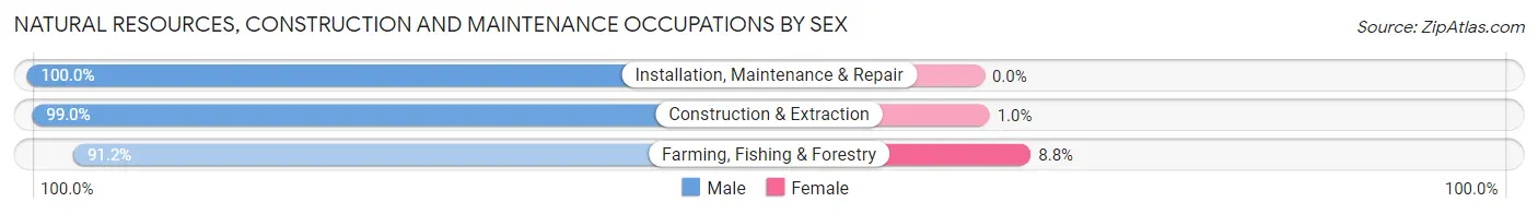 Natural Resources, Construction and Maintenance Occupations by Sex in Charles Mix County