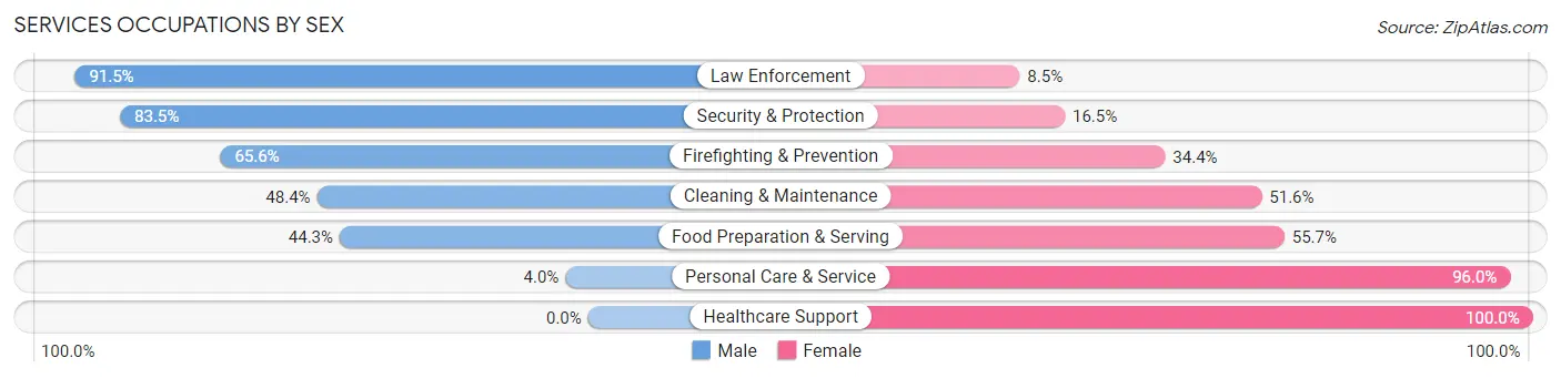 Services Occupations by Sex in Codington County