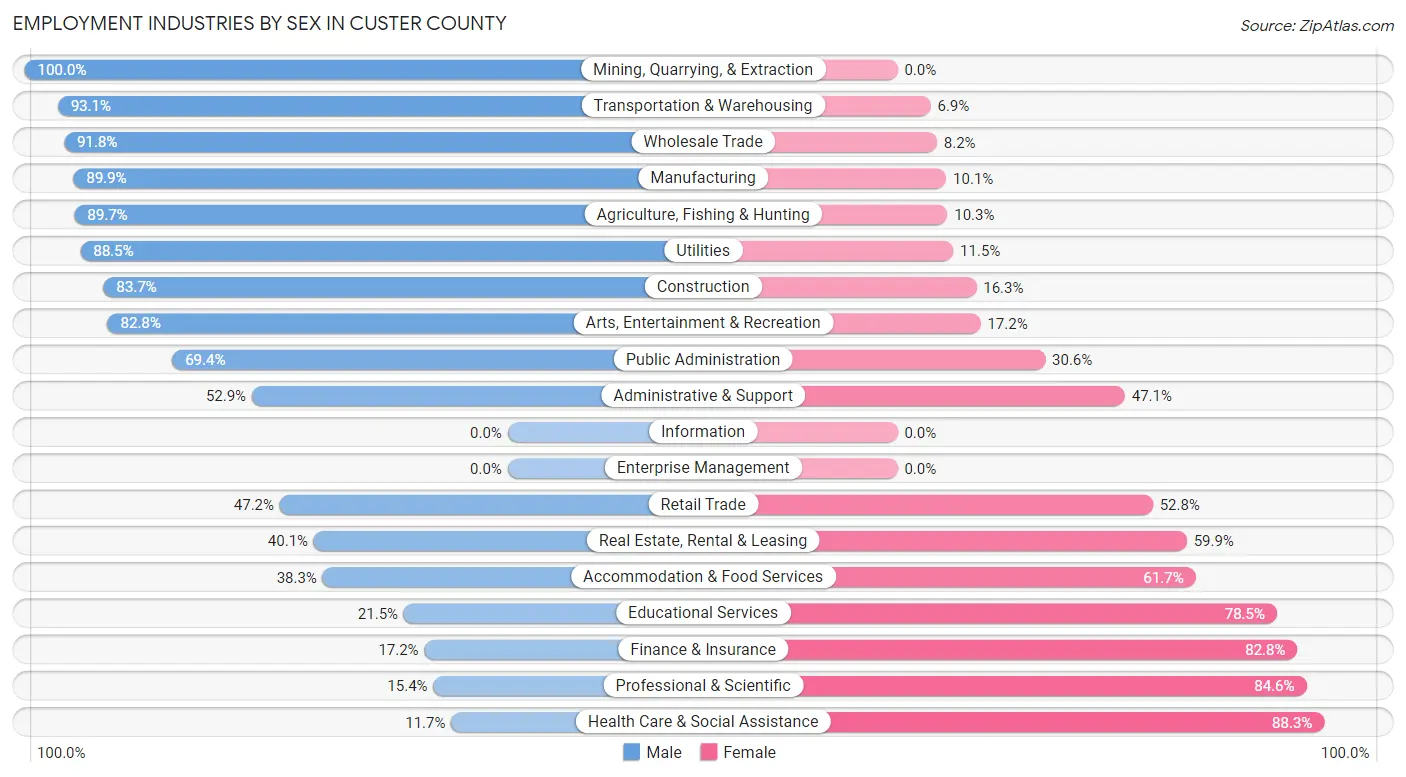 Employment Industries by Sex in Custer County