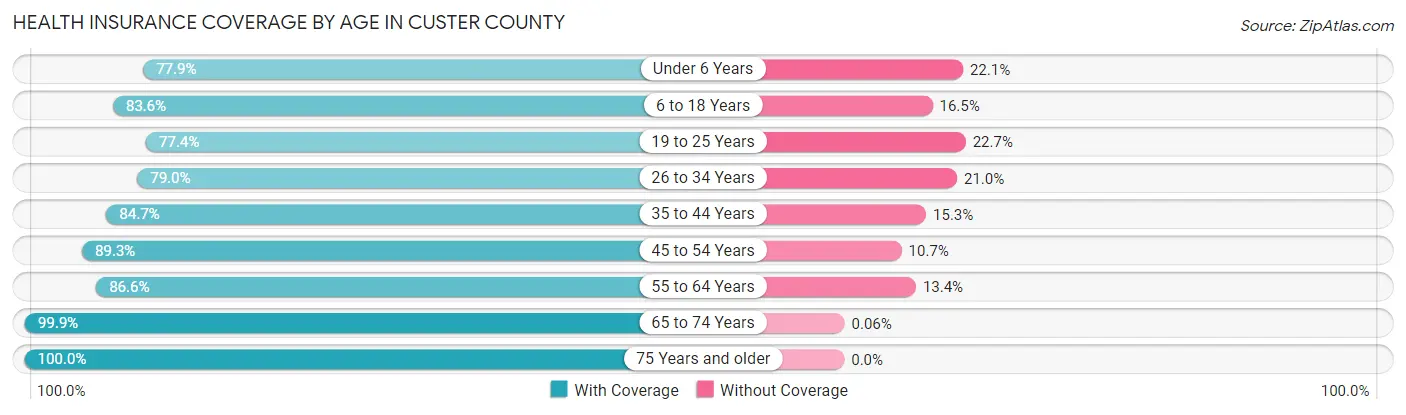 Health Insurance Coverage by Age in Custer County