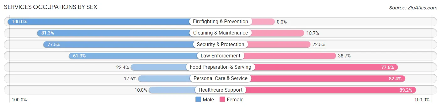 Services Occupations by Sex in Custer County