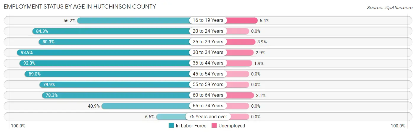 Employment Status by Age in Hutchinson County