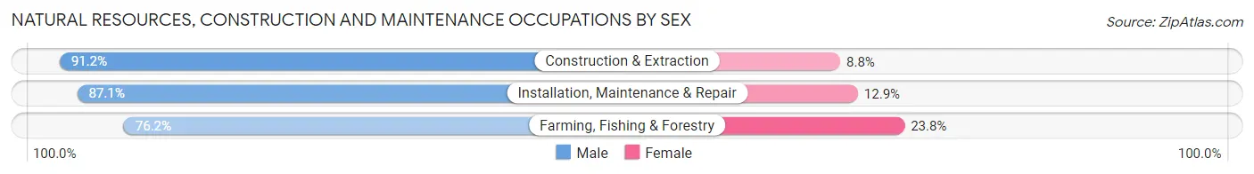Natural Resources, Construction and Maintenance Occupations by Sex in Hutchinson County