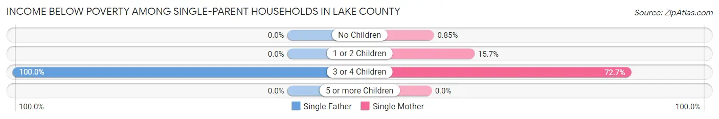 Income Below Poverty Among Single-Parent Households in Lake County