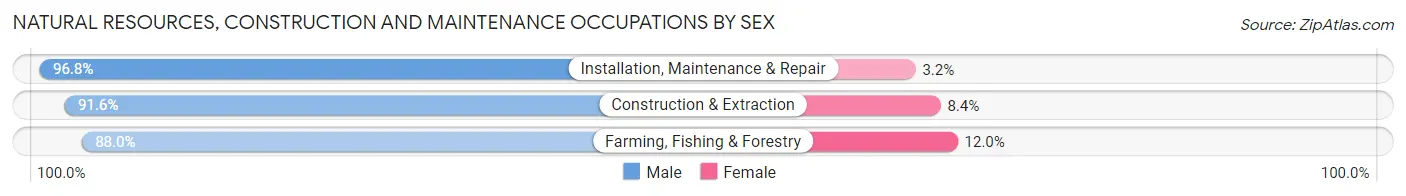Natural Resources, Construction and Maintenance Occupations by Sex in McCook County