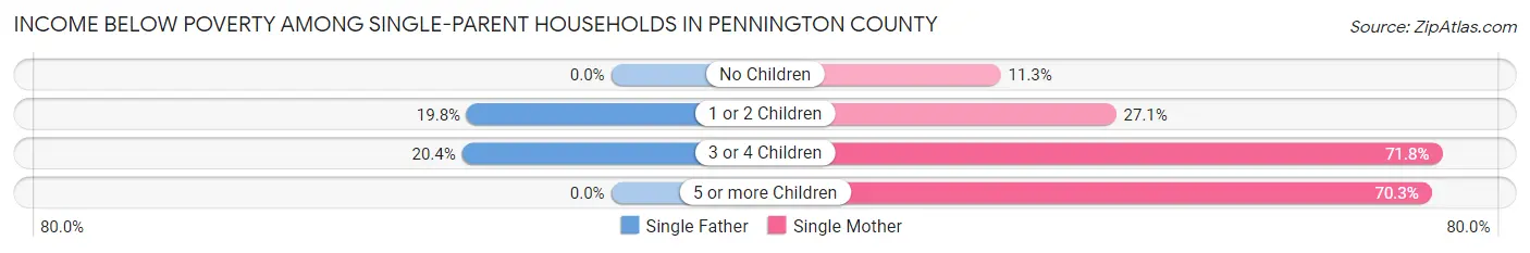Income Below Poverty Among Single-Parent Households in Pennington County