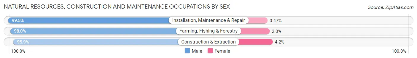 Natural Resources, Construction and Maintenance Occupations by Sex in Roberts County