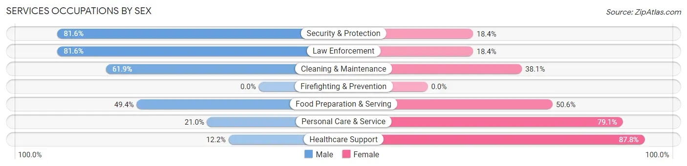 Services Occupations by Sex in Spink County