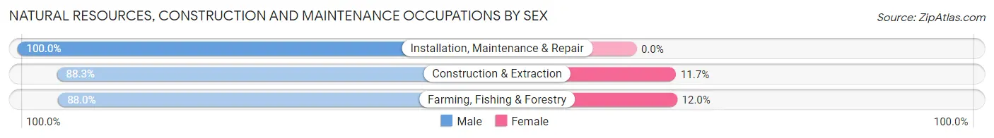 Natural Resources, Construction and Maintenance Occupations by Sex in Todd County