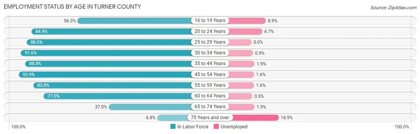 Employment Status by Age in Turner County