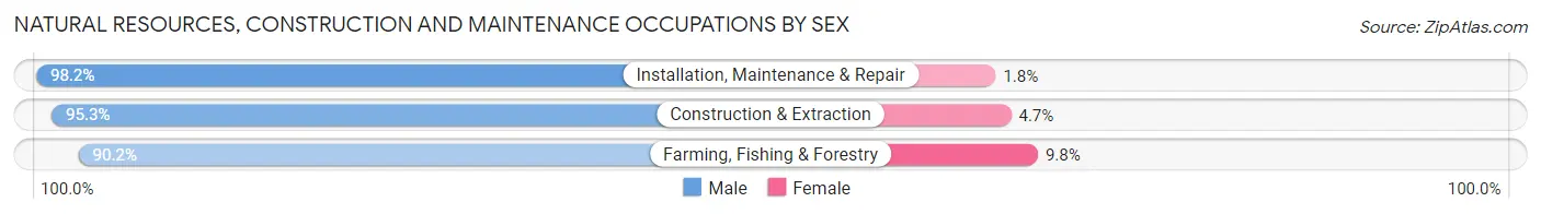 Natural Resources, Construction and Maintenance Occupations by Sex in Turner County