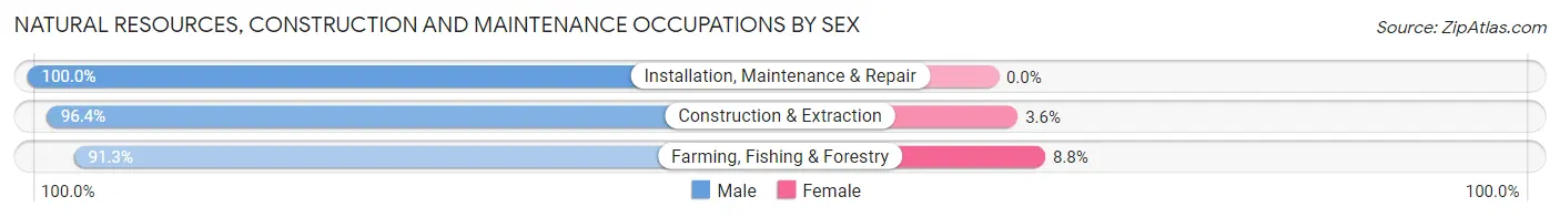Natural Resources, Construction and Maintenance Occupations by Sex in Union County
