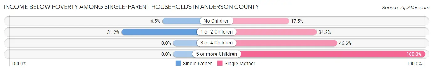 Income Below Poverty Among Single-Parent Households in Anderson County