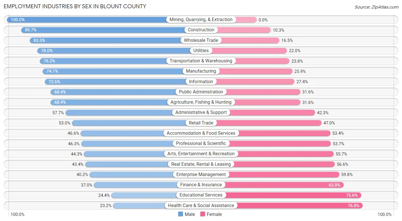 Employment Industries by Sex in Blount County