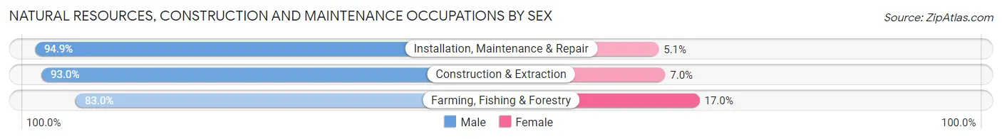 Natural Resources, Construction and Maintenance Occupations by Sex in Bradley County