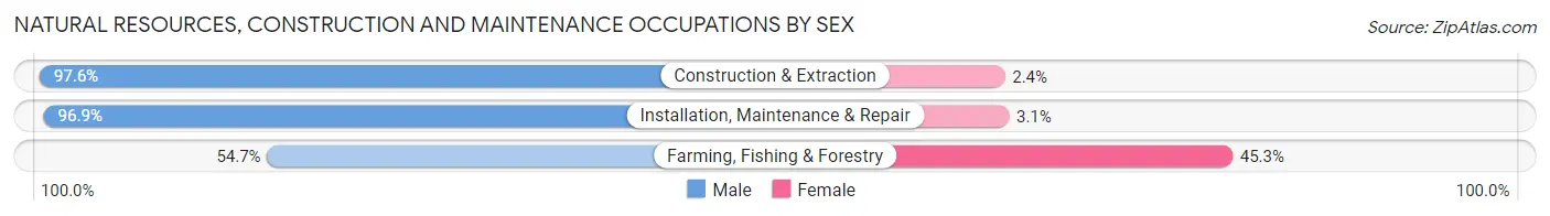 Natural Resources, Construction and Maintenance Occupations by Sex in Hamilton County
