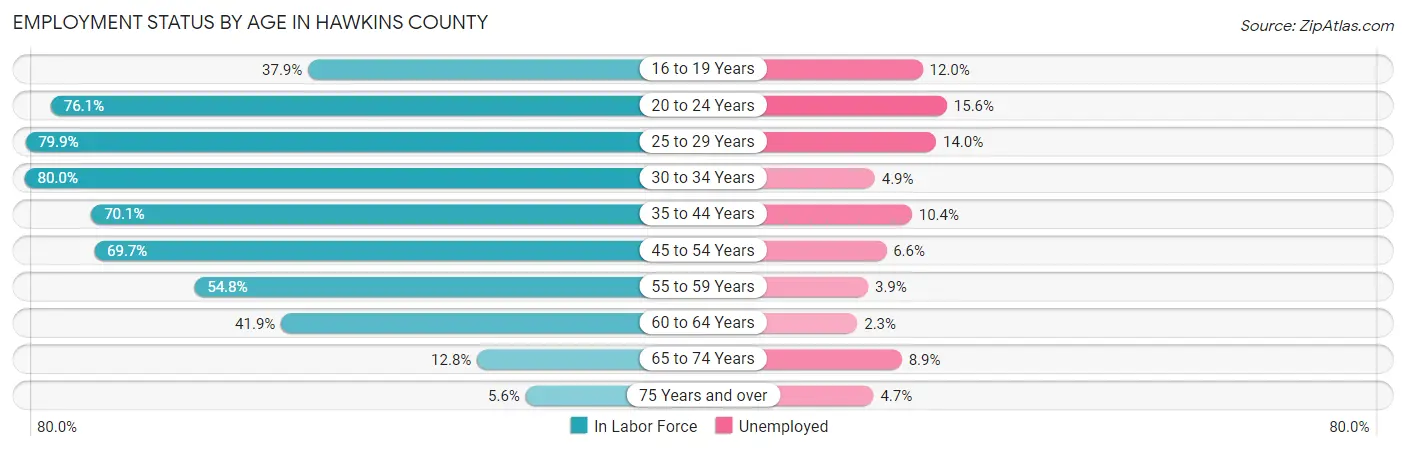 Employment Status by Age in Hawkins County