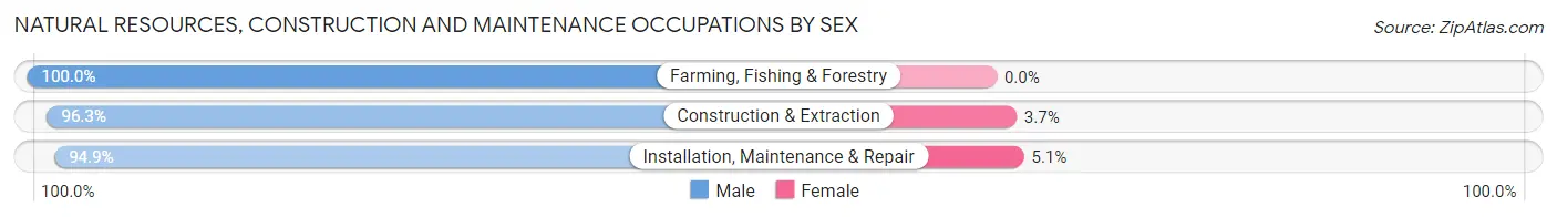 Natural Resources, Construction and Maintenance Occupations by Sex in Hawkins County