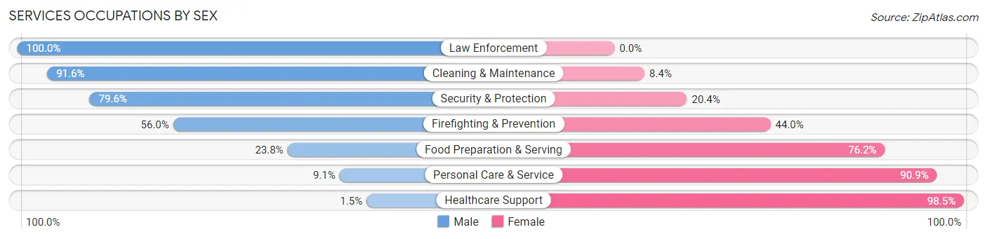 Services Occupations by Sex in Loudon County