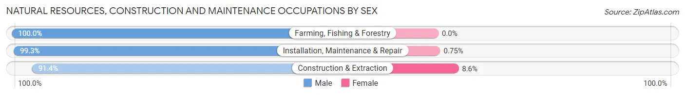 Natural Resources, Construction and Maintenance Occupations by Sex in Maury County