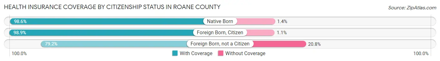 Health Insurance Coverage by Citizenship Status in Roane County
