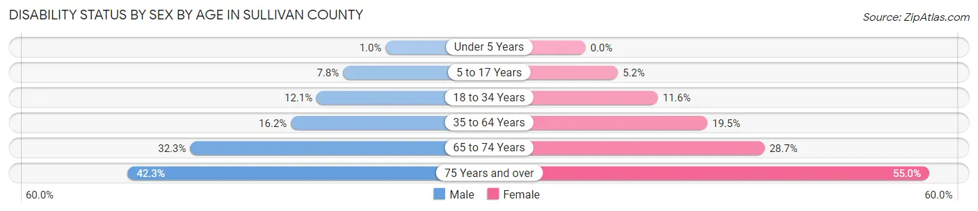 Disability Status by Sex by Age in Sullivan County