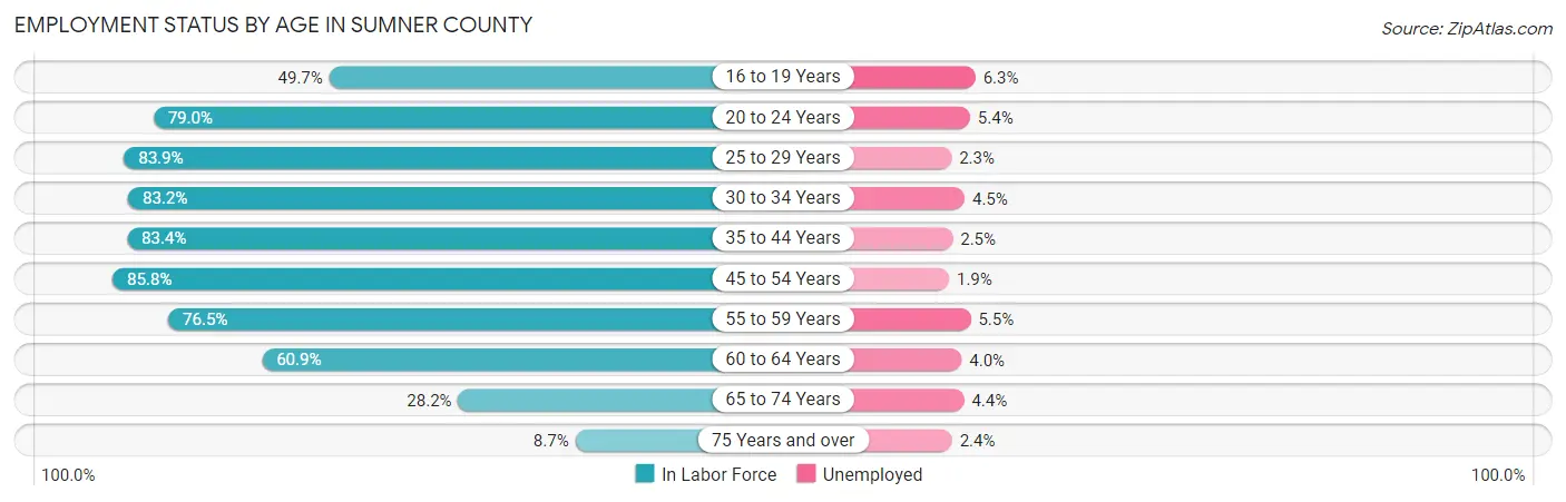 Employment Status by Age in Sumner County