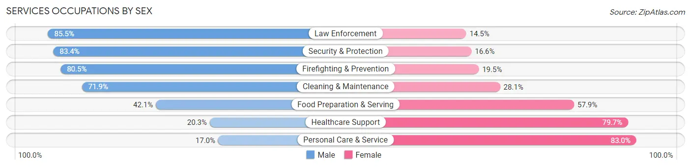 Services Occupations by Sex in Sumner County