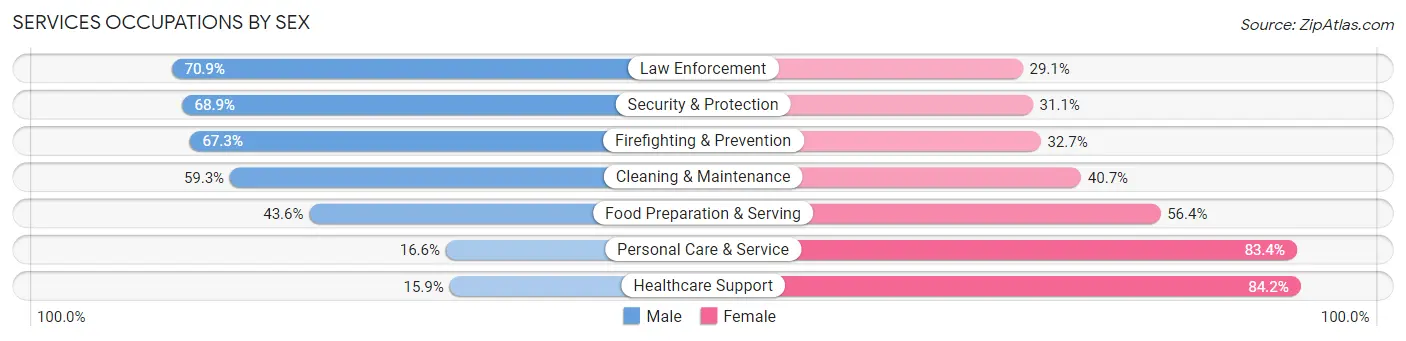 Services Occupations by Sex in Box Elder County