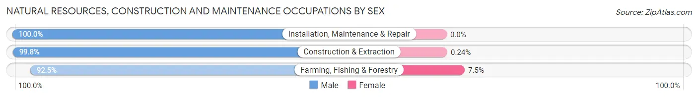 Natural Resources, Construction and Maintenance Occupations by Sex in Sanpete County